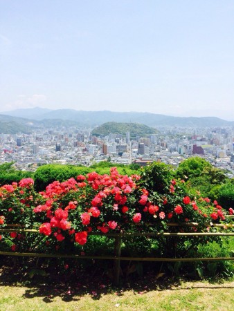 5月24日ロングコース7